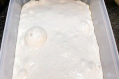 Bubbly content - Pizza dough