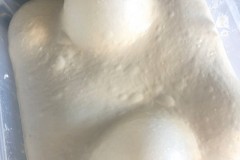 Bubbly content - Pizza dough